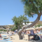 Paradise Island Beach, Mykonos, Greece