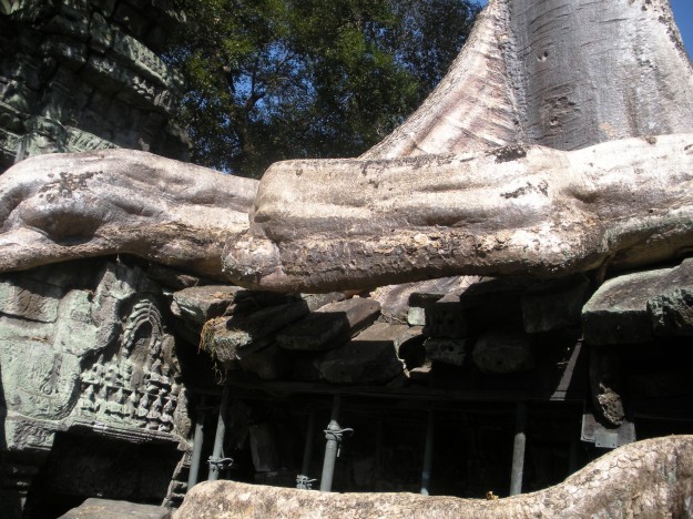 Angkor Wat Tomb Raider 3 A big tree root snaking around part of the ruins.