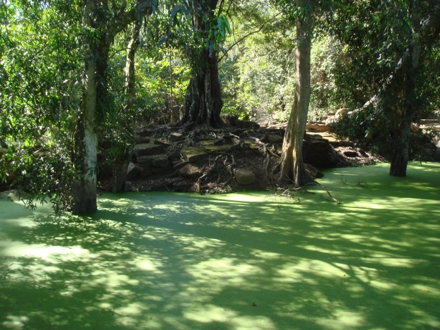Angkor Wat Tomb Raider 8 The thick, bright green water around the bridge leading to the ruins.