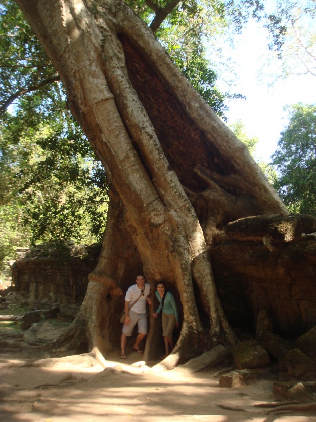 Angkor Wat Tomb Raider 7 Hiding in the huge tree.