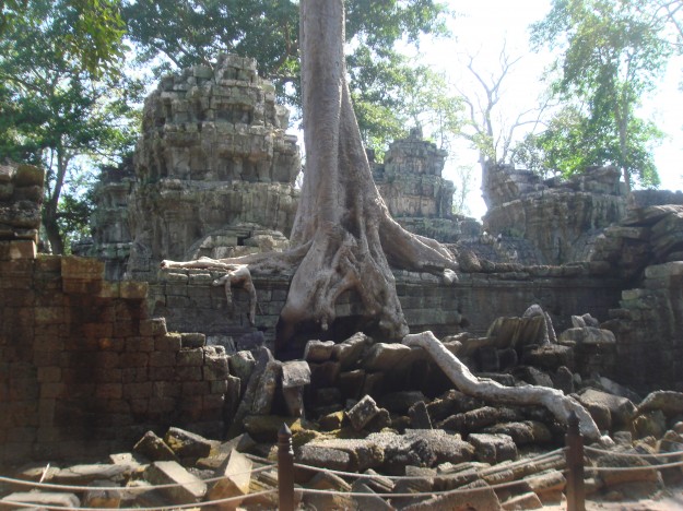 Angkor Wat Tomb Raider 6 These roots look like an alien hand stretching over the wall to me. Scary roots!