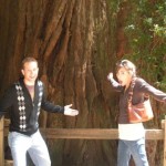 Whoa! Muir Woods has some big trees.