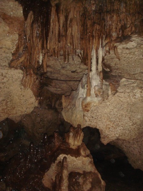 aluxcavern We were sitting quite close to this cenote throughout dinner.