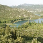 bacinalakes_trees