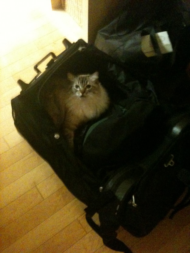 Mobile Pics 057 Mia: "Please guys, can't I come, too?"