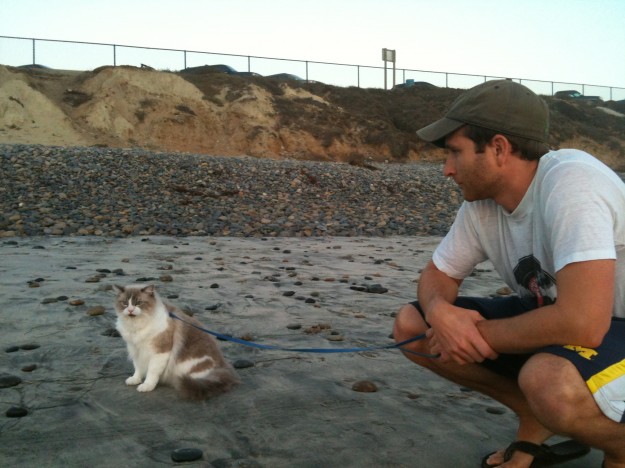 RooneyBeach Walking a Cat on a Leash at the Beach.