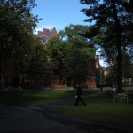 Harvard Campus: Serene walking trails through campus.