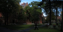 Harvard Campus: Serene walking trails through campus.