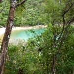 Camping in Abel Tasman: A glimpse of Te Pukatea Bay from one of the Anchorage Bay hiking trails.