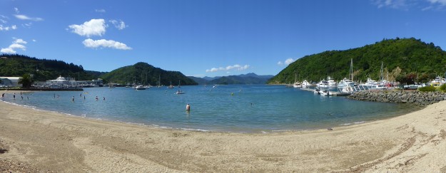 Picton New Zealand: The gorgeous beach in Picton.