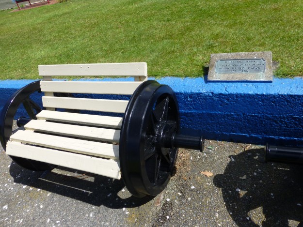 Fun benches in Picton, New Zealand.