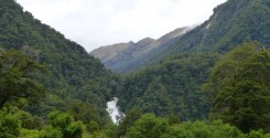 Roaring Billy Falls Walk: A view of the waterfall entices you from the road.