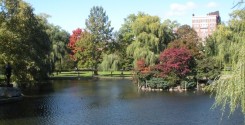 The Boston Public Garden.