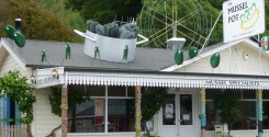 The Mussel Pot in Havelock, New Zealand serving up green lipped mussel.