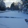 Minnesota earlier this week.