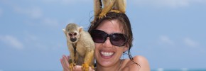 Monkeys on the beach in Mexico.