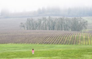 Tips for Wine Tasting with a Toddler in Tow
