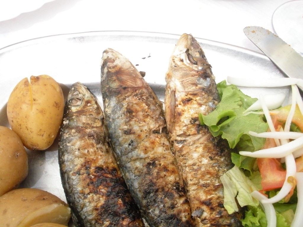 Lisbon Sardines Before Trying to Eat Them