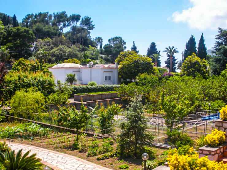 Farm in Capri.