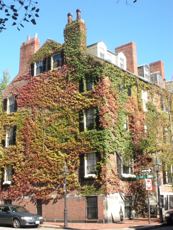 One Day in Boston - Beautiful Boston Building