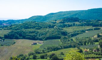 The rolling hills of Tuscany are home to vineyards and wineries ideal for wine tasting.