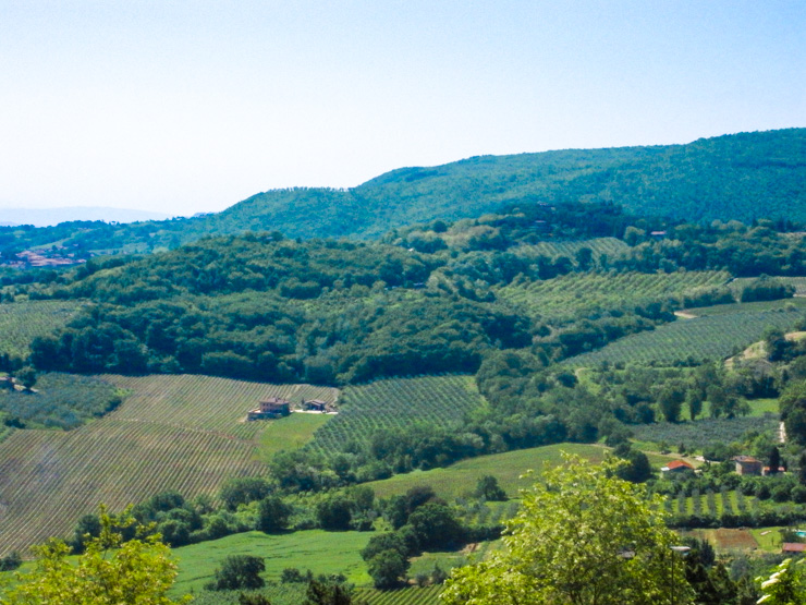 The rolling hills of Tuscany are home to vineyards and wineries ideal for wine tasting. 