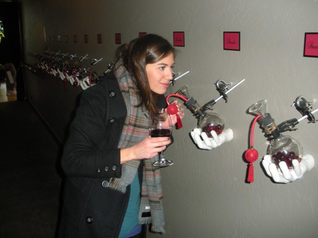 The Hallway of Senses at Raymond Winery