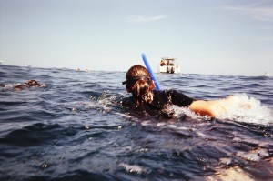 Swimming with whale sharks and moving toward the whale shark.