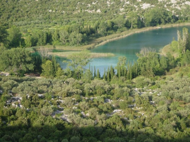 Bacina Lakes consists of several interconnecting lakes, surrounded by lush, green trees.