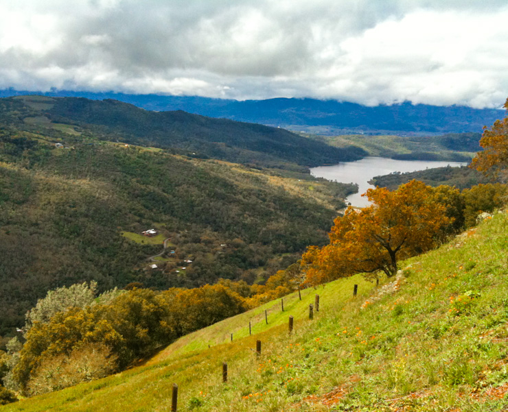 View from Kuleto Estates.