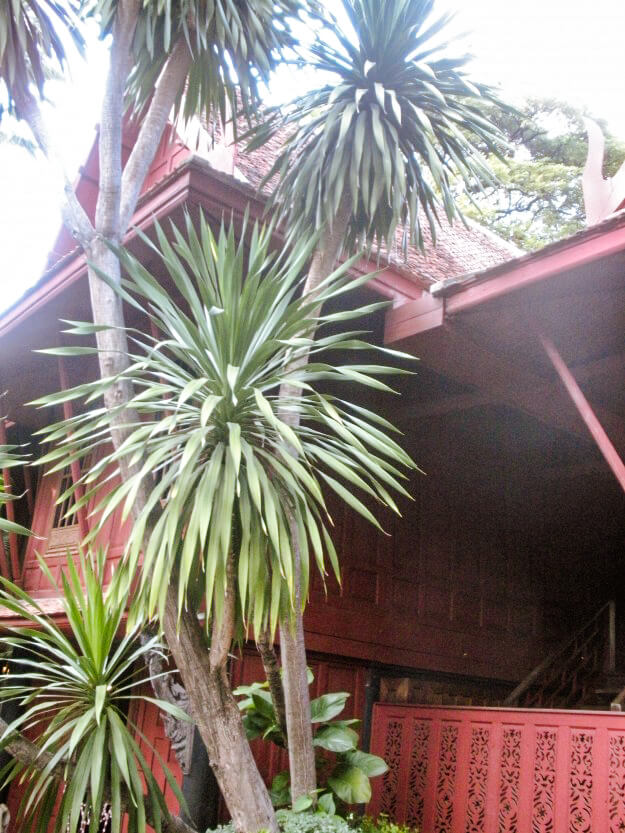 The jungle ambiance of the Jim Thompson House in Bangkok.