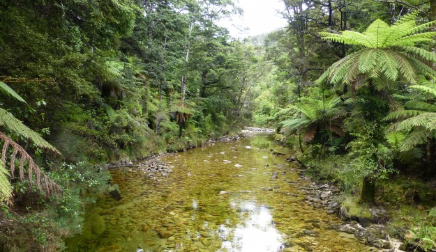 The narrow inlet of Torrent Bay to get to Cleopatra's Pool via Kayak in Abel Tasman, New Zealand.