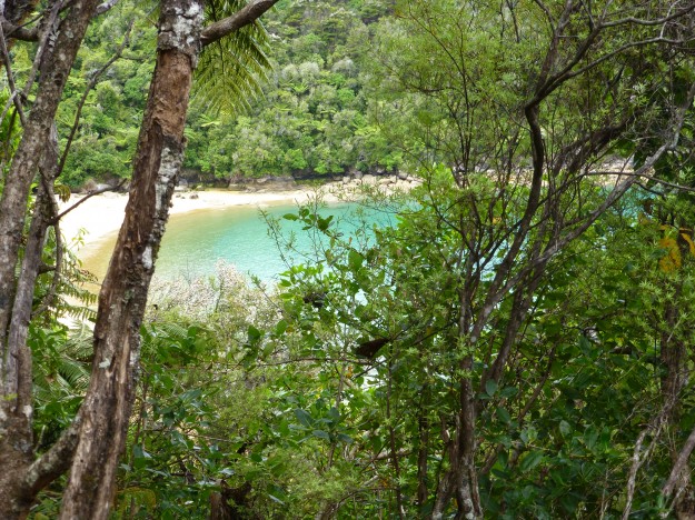 Camping in Abel Tasman: A glimpse of Te Pukatea Bay from one of the Anchorage Bay hiking trails.