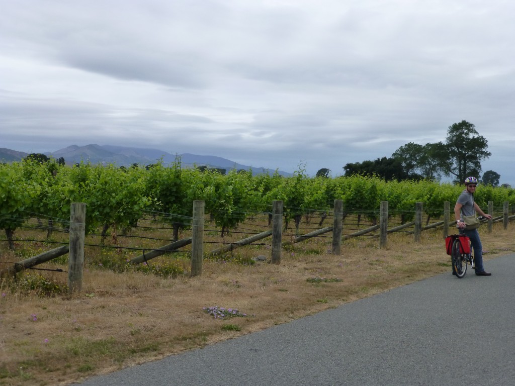 Marlborough Wineries Bike Trail: Tom probably telling me to stop taking pictures and hurry up so we can get next to the tasting room.