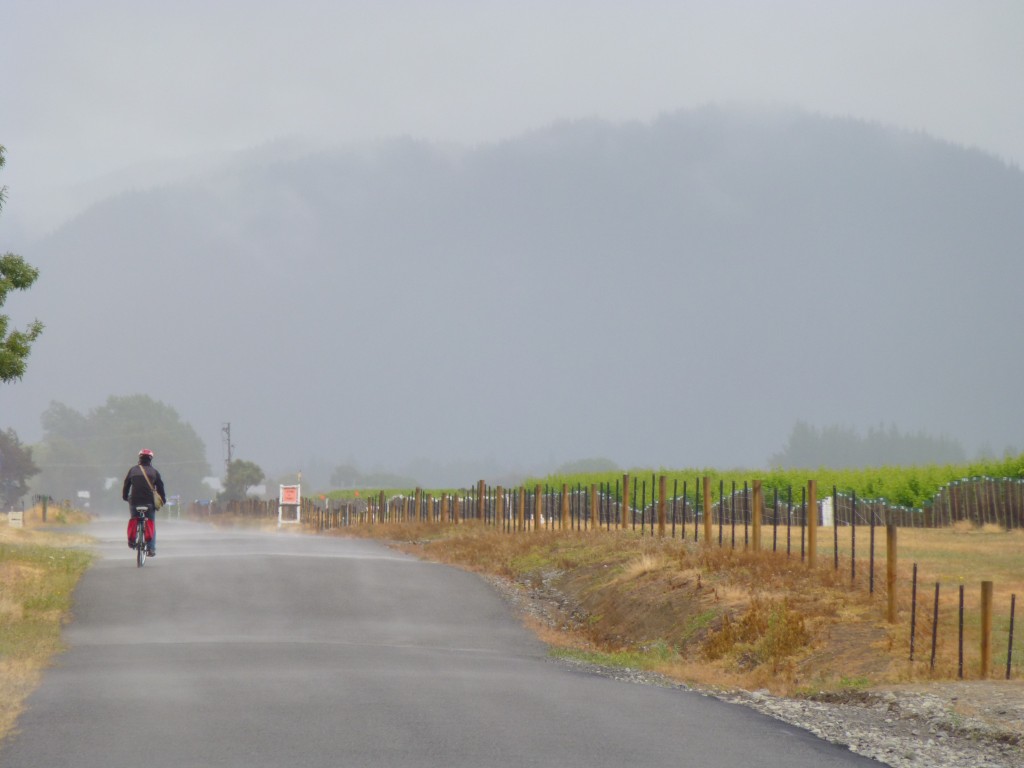Marlborough Wineries: The scenery surrounding the wineries and bike route is stunning - mountains in the distance framing vibrant green vineyards.