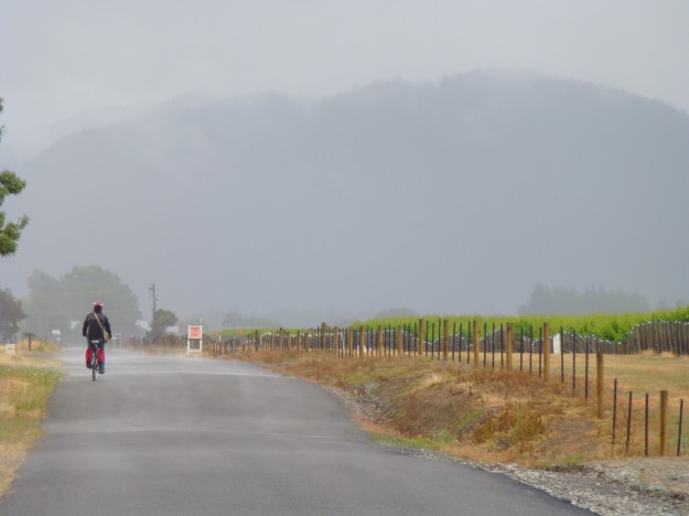 Marlborough Wineries: The scenery surrounding the wineries and bike route is stunning - mountains in the distance framing vibrant green vineyards.