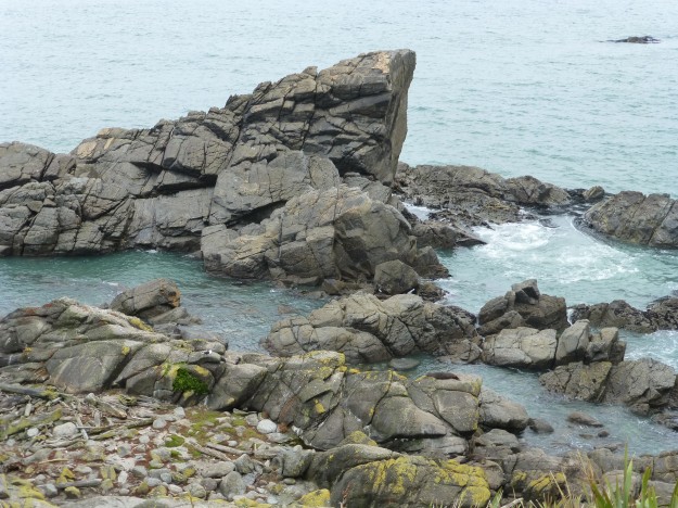 Seal Bay Colony in Cape Foulwind in New Zealand.