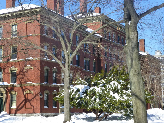 This sunny and snowy setting looks so peaceful, it's hard to believe there was a fierce blizzard raging less than 24 hours before...