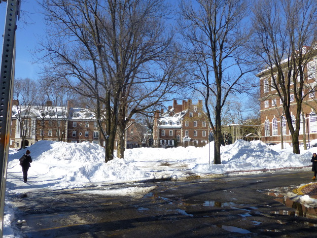 Pictures of a Blizzard, the Aftermath: Harvard Campus after a blizzard.
