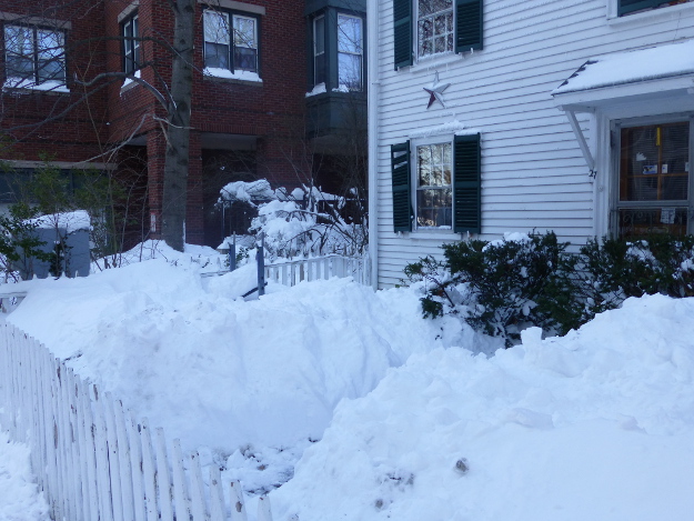 Pictures of a Blizzard: A very snowy front yard.