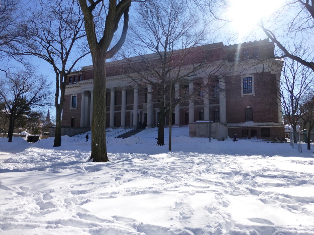 Pictures of a Blizzard, the Aftermath: A snowy path leading to Harvard's library.