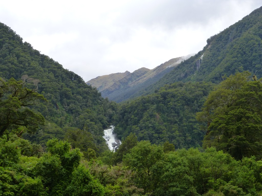 Roaring Billy Falls Walk: A view of the waterfall entices you from the road.