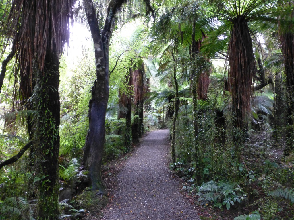 Roaring Billy Falls Walk: The trail is serene and peaceful.