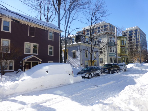 Photos of a Blizzard: A snowy street in Cambridge.
