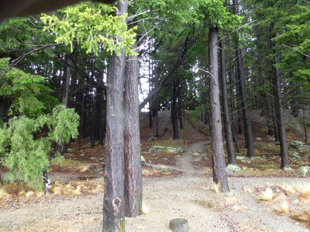 Trail leading down from the Queenstown Gardens to the water's edge.