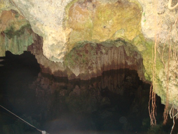 The edges of the opening of the cenote. 