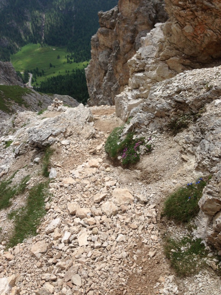 Scary downhill trail at degli Alpini. 