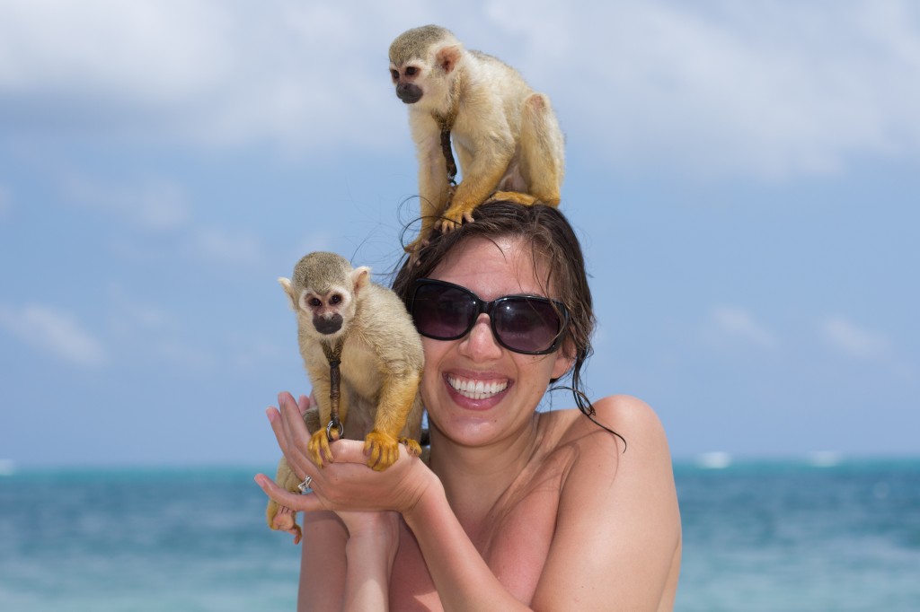 Monkeys on the beach in Mexico.