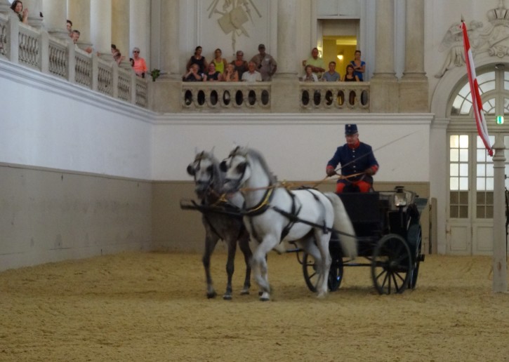 A traditional horse and carriage at Vienna's Spanish Riding School.