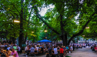 Huge trees framing picnic tables at Augustiner-Keller in Munich.